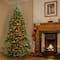 7 ft. Pre-Lit Dunhill® Fir Full Artificial Christmas Tree, Multicolor Lights